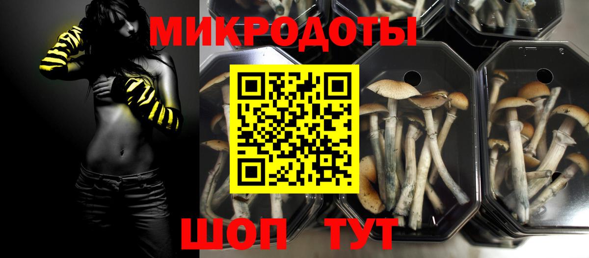 Псилоцибиновые грибы GOLDEN TEACHER  Вход с VPN  Тамбов 