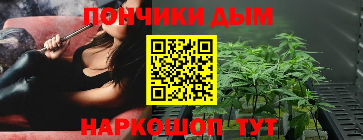 Марихуана планчик  Вход с VPN  Канабис ГИДРОПОН  Конопля AK-47  Тамбов 